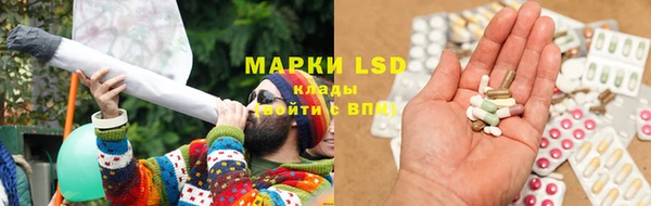 a pvp Пересвет