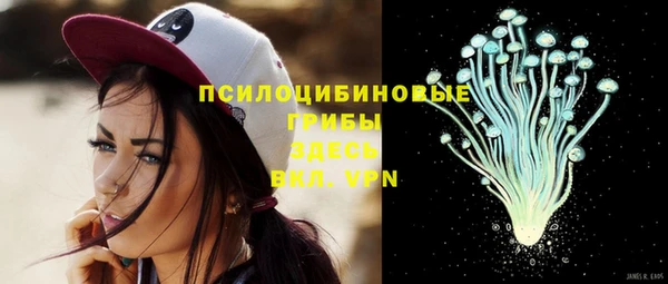 a pvp Пересвет