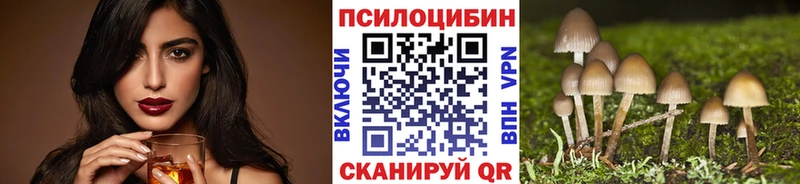 Купить закладки  Новая Ляля  Галлюциногенные грибы Magic Shrooms 